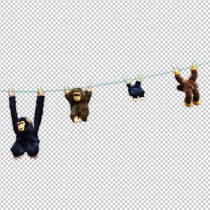 手机看片日韩日韩
